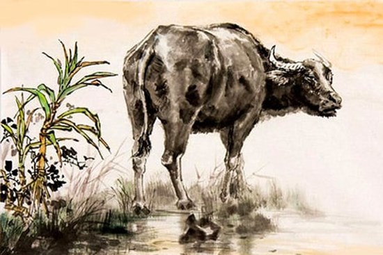 Tuần mới (26/12-1/1/2023): 2 tuổi hưởng trọn may mắn, 1 tuổi vướng đủ xui xẻo