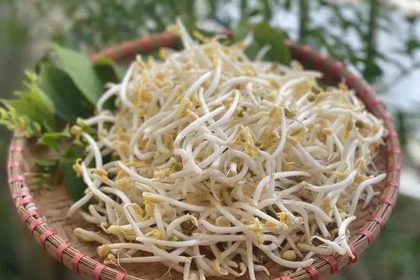 Loại thực phẩm mọc mầm không gây hại còn giúp ngừa ung thư-2