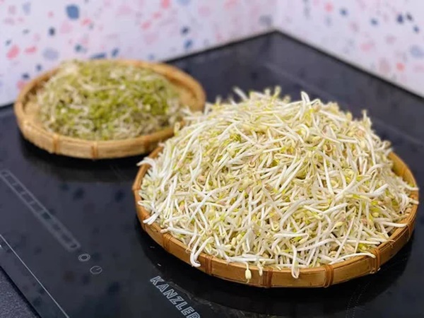 Loại thực phẩm mọc mầm không gây hại còn giúp ngừa ung thư-5