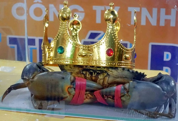 Chú cua Bình Dư” giành giải Cua Cà Mau lớn nhất-1