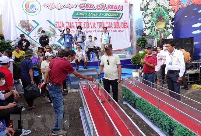 Chú cua Bình Dư” giành giải Cua Cà Mau lớn nhất-2