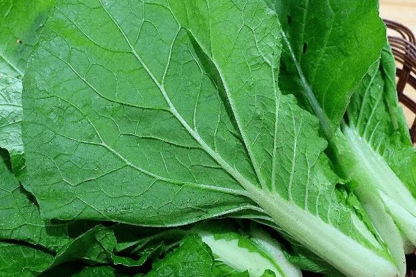 Gan mê nhất 4 loại rau xanh này-1