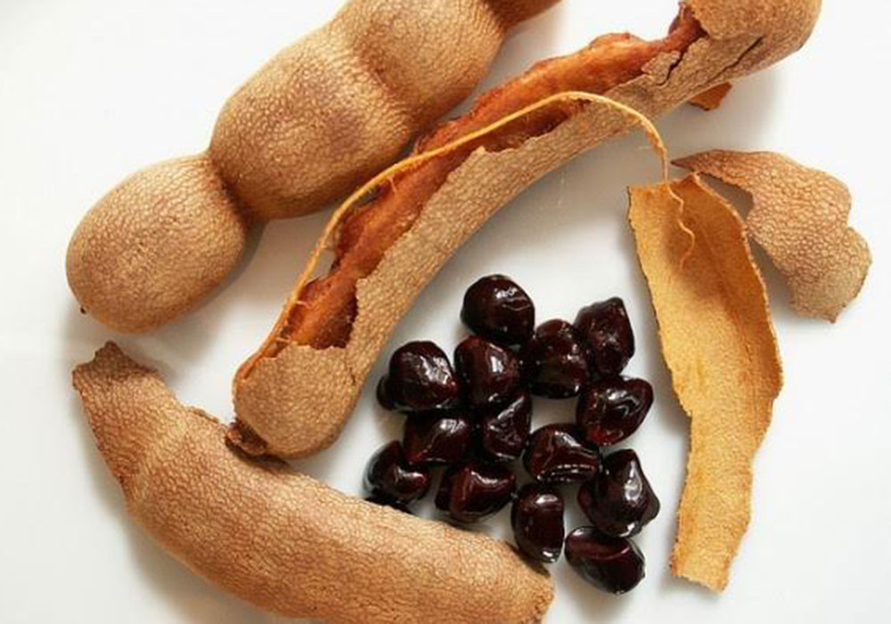 Quả dại ở Việt Nam sang nước ngoài được săn lùng, giá cao-2