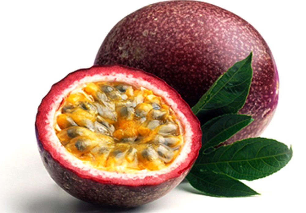 Quả dại ở Việt Nam sang nước ngoài được săn lùng, giá cao-3