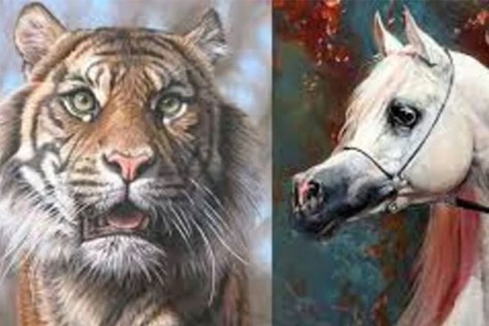 Mèo mù vớ cá rán: 3 tuổi ăn lộc Thánh năm 2023 'trúng số', năm 2024 mua nhà, tậu xe dễ dàng