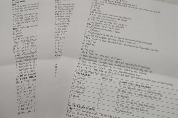 Buồn thay, đến đề kiểm tra học kỳ cũng có giáo viên đi mua-2