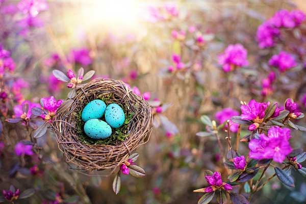 Đo độ dài ngón út nhìn là biết ngay ai hưởng phúc lộc sâu dày, ai nghèo hèn vay nợ qua ngày-2