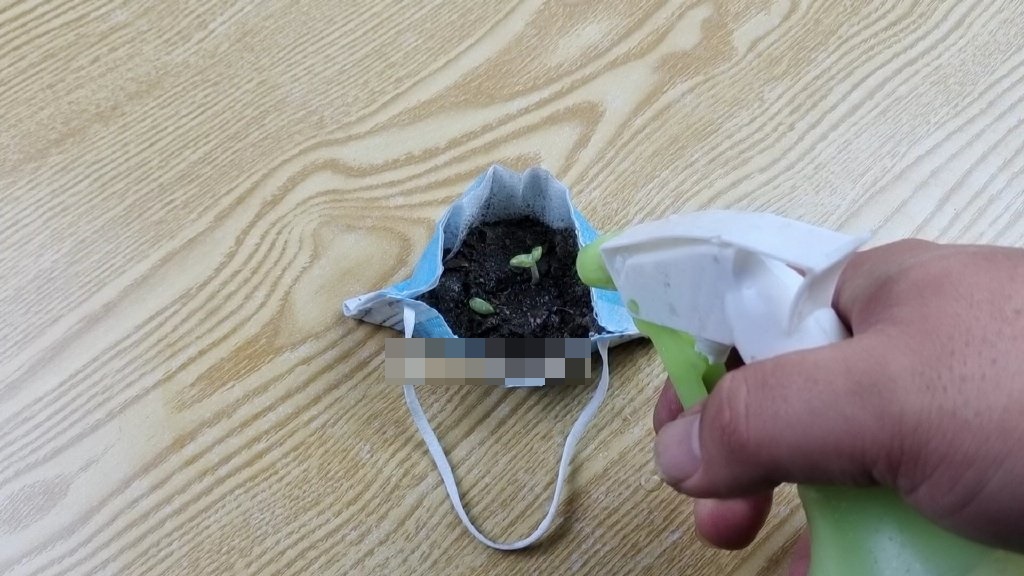 Đắp khẩu trang lên cây lau nhà giải quyết nhiều rắc rối nhưng đa số mọi người đều chưa biết-4