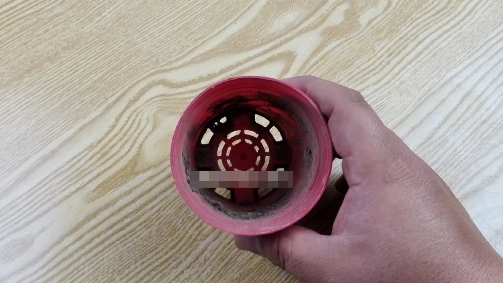 Đắp khẩu trang lên cây lau nhà giải quyết nhiều rắc rối nhưng đa số mọi người đều chưa biết-5