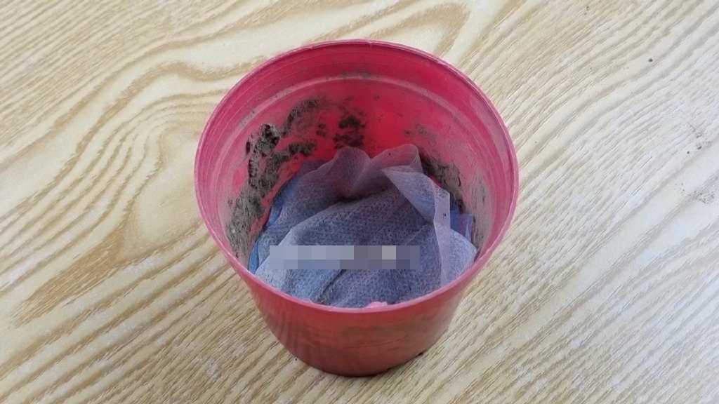 Đắp khẩu trang lên cây lau nhà giải quyết nhiều rắc rối nhưng đa số mọi người đều chưa biết-7