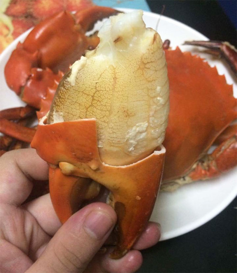 Loại cua biển ngon nhất nhì miền Tây, giá cả nửa triệu vẫn được yêu thích-2