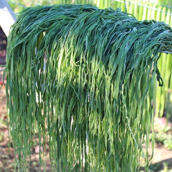 Loại rau có giá đắt hơn thịt, ăn sẽ trẻ lâu và dáng đẹp bất ngờ-1