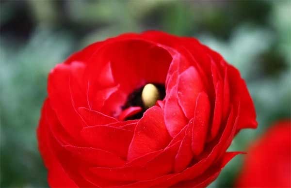 Sinh vào 3 tháng Âm lịch này, có quý nhân song hành, sự nghiệp thênh thang, rộng mở-2