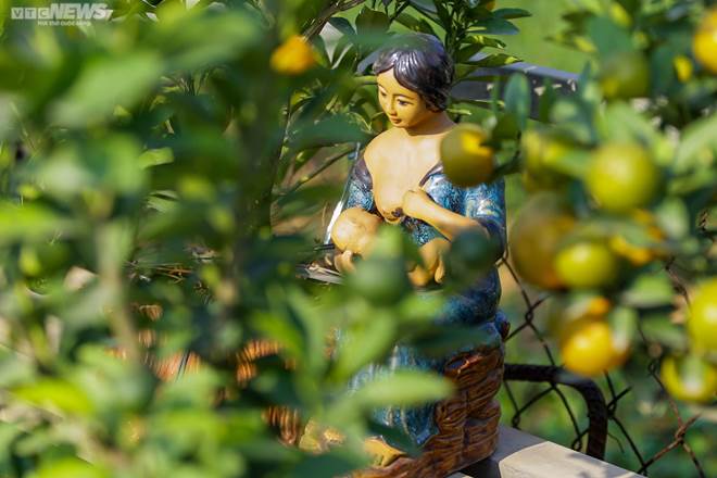 Khách săn mua quất bonsai dáng độc, giá tiền triệu chơi Tết-11