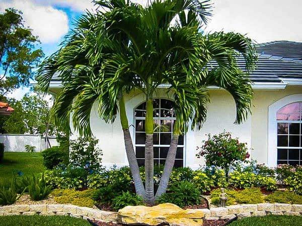 Các cụ dạy Trước cau sau chuối: Trồng 8 cây này trước nhà để gia đạo an yên, tài lộc về như nước-5