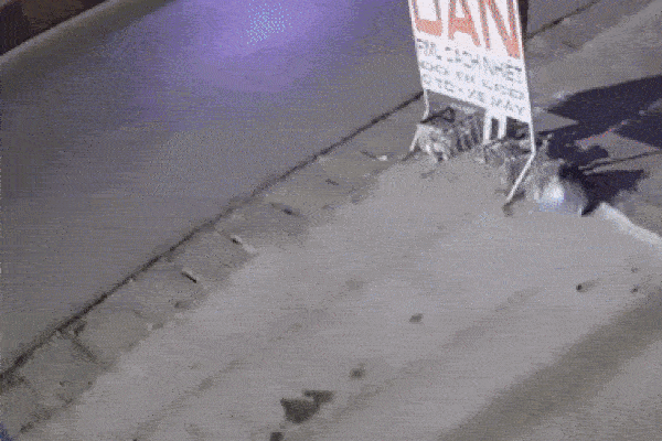 Những khoảnh khắc kinh ngạc trên biển được máy quay ghi lại-1