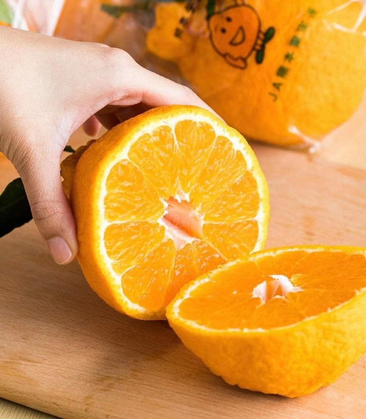 Loại quýt ngon nhất thế giới có giá gần 2 triệu đồng/kg, nhà giàu mua biếu Tết-2