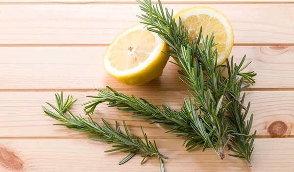 Loại thảo mộc được sử dụng trong nấu ăn có tác dụng giảm kích thước khối u đến 85%, ngăn ngừa lão hóa não-4