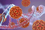 Phát hiện virus mới gây bệnh viêm gan ở người-2