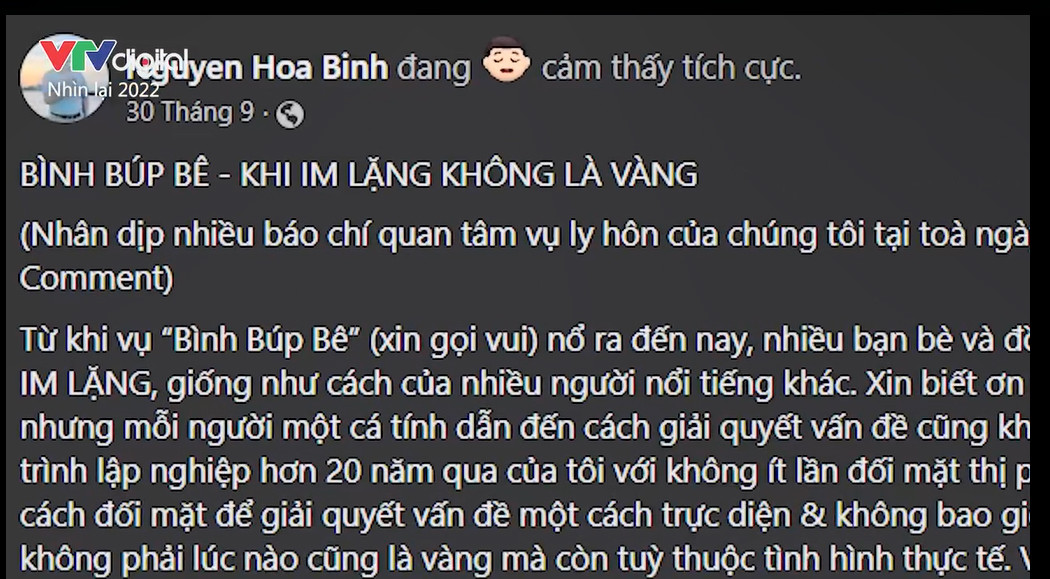 Hiền Hồ, Phương Oanh, Sơn Tùng bị VTV điểm danh cuối năm-3