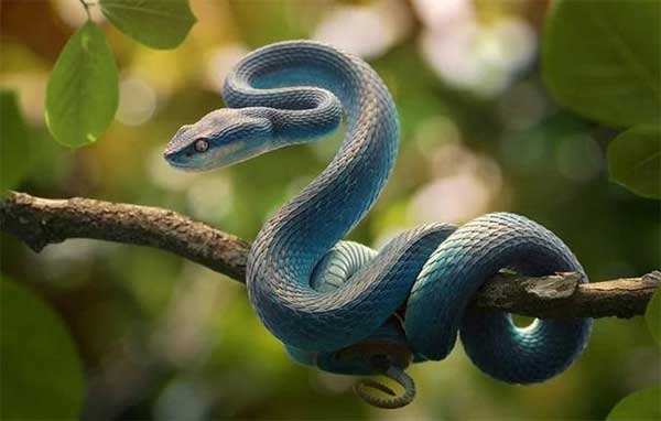 Tháng 1/2023: 3 con giáp phất lên như diều gặp gió, 1 tuổi khốn đốn, khó đủ đường-3