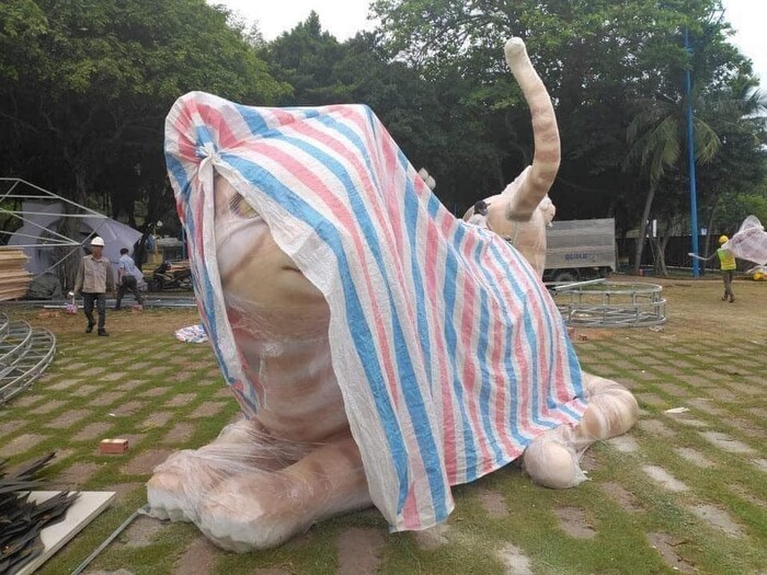 Chiêm ngưỡng nhan sắc loạt linh vật Quý Mão 2023: Mèo Vũng Tàu e ấp, mèo Thanh Hóa phẫu thuật quá đà-2