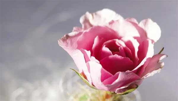 Sang năm 2023, 3 con giáp phát huy điểm mạnh, khắc phục điểm yếu, đạt thành tích vượt trội-2