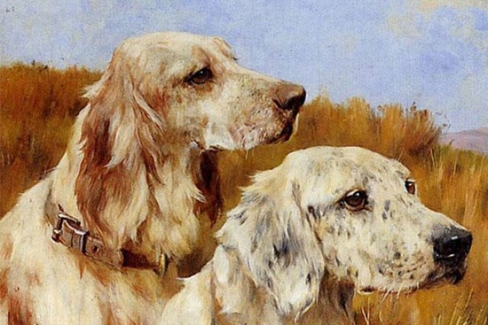 Có đức mặc sức mà ăn: 3 tuổi thiện lương con cưng Phật Tổ chẳng cần bon chen tiền bạc tự về tay