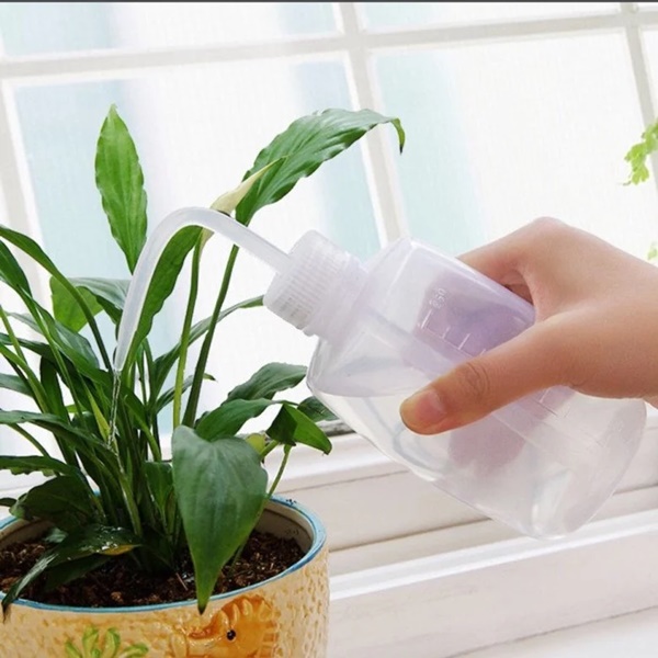 Tưới 1 thìa nước đường cho cây, điều kỳ diệu sẽ xảy ra, nhiều người tiếc hùi hụi vì bây giờ mới biết-2