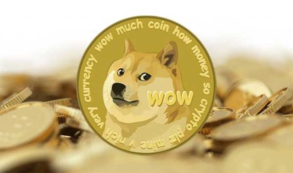 Chú chó biểu tượng Dogecoin lâm bệnh nặng-3