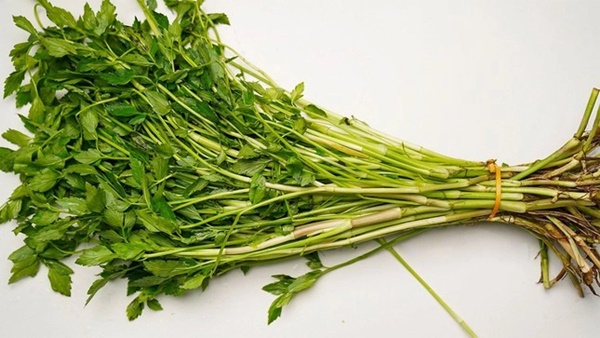 Rau cần có nhiều lợi ích nhưng những người sau nên tránh xa tuyệt đối-1