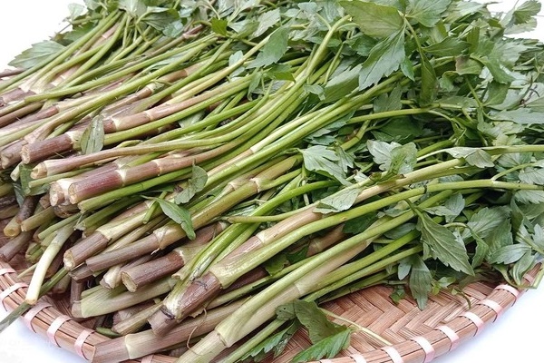 Rau cần có nhiều lợi ích nhưng những người sau nên tránh xa tuyệt đối-2