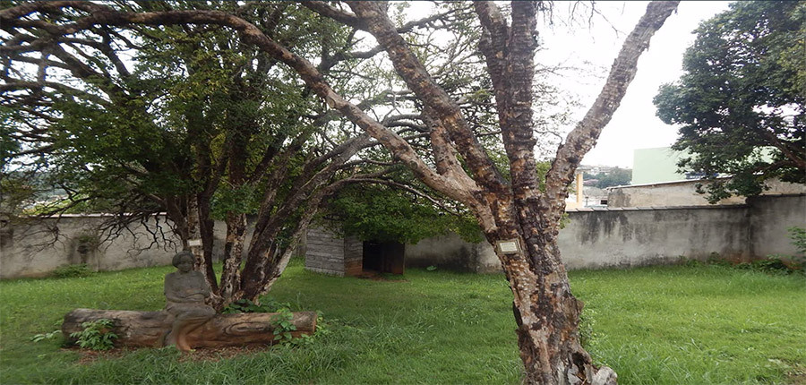 Cận cảnh ngôi nhà thời thơ ấu của Vua bóng đá Pele-14