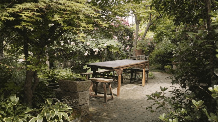 5 cây cảnh thể hiện phú quý vinh hoa, thắp sáng sân nhà, ngụ ý sung túc, thịnh vượng-1