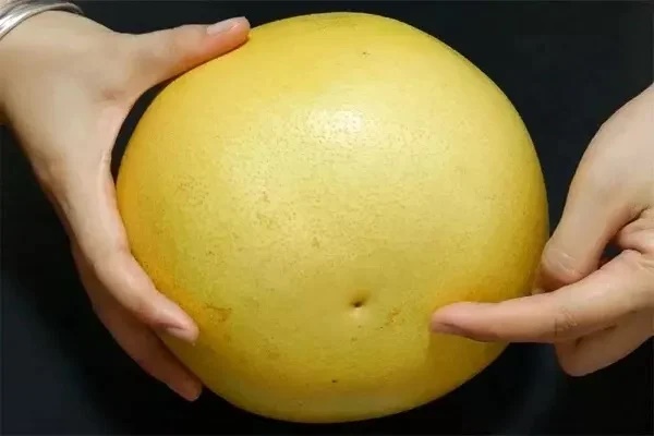 Mua bưởi chọn quả tròn hay quả nhọn: Người bán chỉ 4 mẹo nhìn sơ là biết bưởi ngọt, vỏ mỏng, mọng nước-2