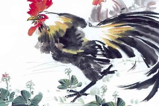 4 con giáp nữ sinh ra mang mệnh phượng hoàng, càng về già tài lộc càng vượng