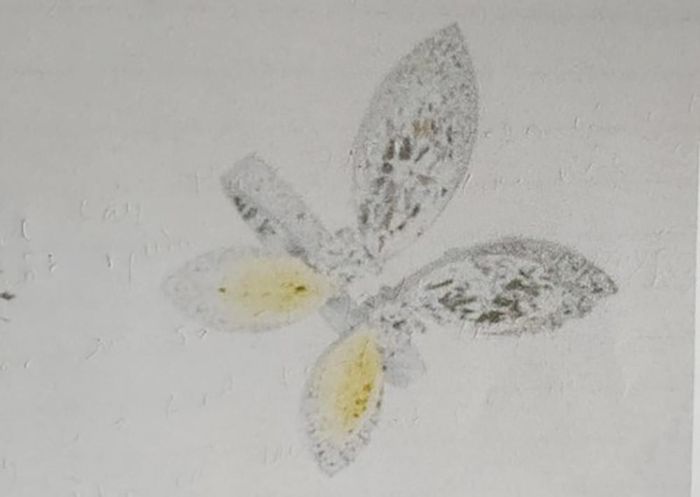 Truy tìm nhẫn kim cương, dây chuyền hột xoàn vụ trộm biệt thự của ca sĩ Hồ Ngọc Hà-2