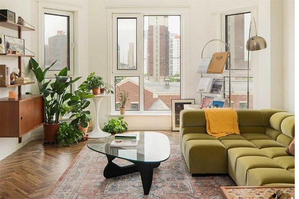 Những loại hoa chơi Tết nhàn tênh, vừa đẹp nhà vừa sang mà chẳng tốn công chăm sóc-11