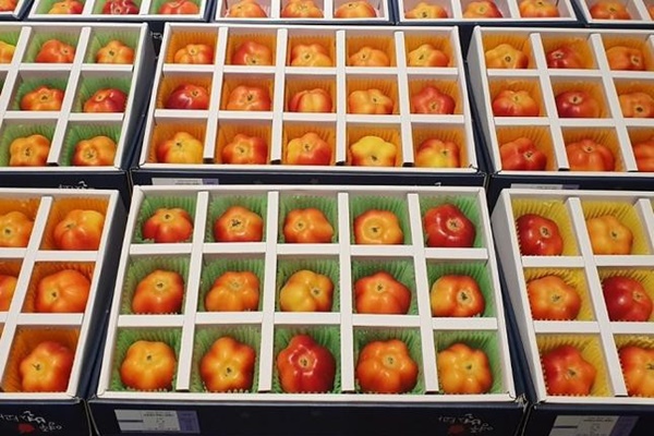 Táo hình ngôi sao, quýt chum lạ mắt đắt khách dịp Tết-1