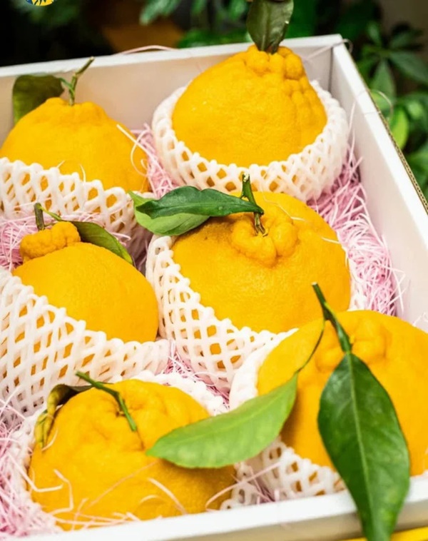 Táo hình ngôi sao, quýt chum lạ mắt đắt khách dịp Tết-2