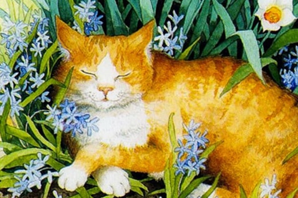 Đặc điểm khuôn mặt người phụ nữ giàu có-7