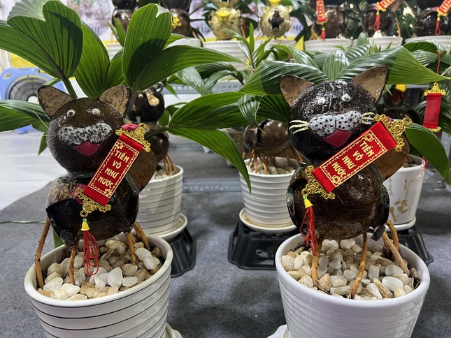 Ngộ nghĩnh mèo tài lộc từ dừa bonsai độc nhất vô nhị-1