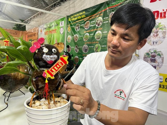 Ngộ nghĩnh mèo tài lộc từ dừa bonsai độc nhất vô nhị-4