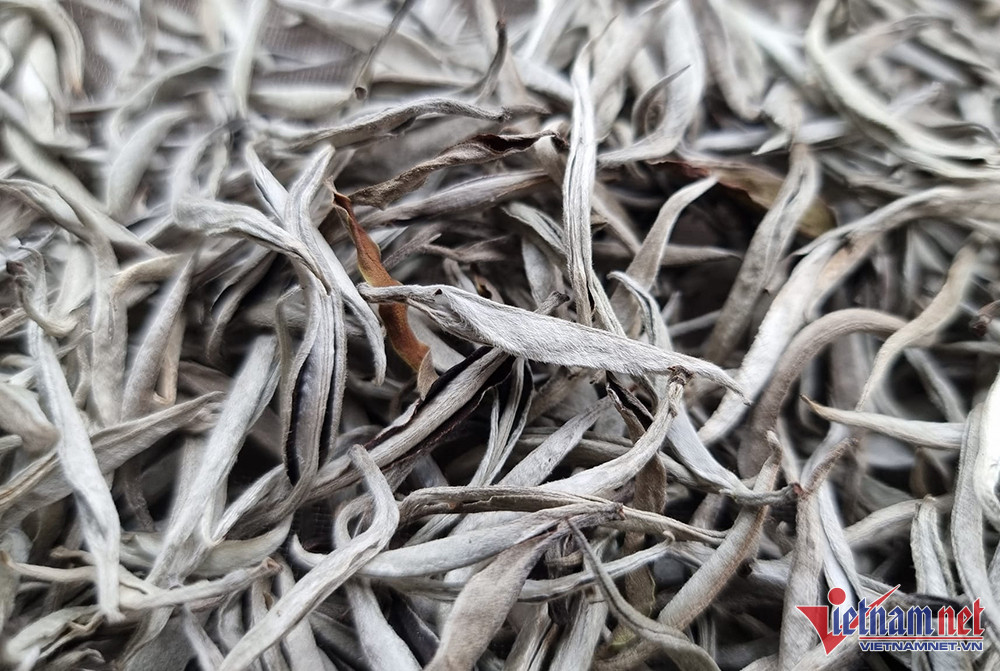 Nhà giàu Việt chi bạc triệu săn bạch trà 500 năm tuổi dịp Tết-1