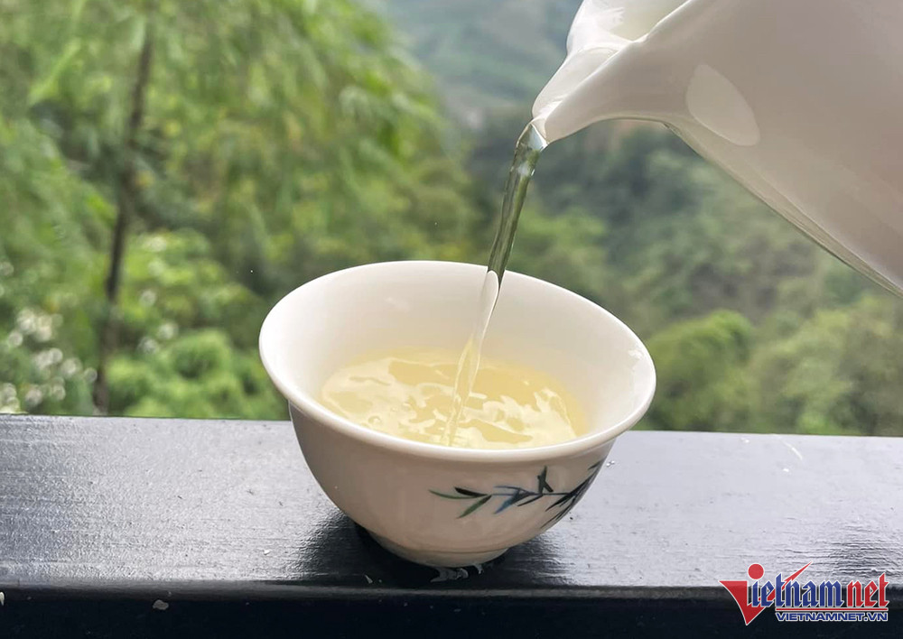 Nhà giàu Việt chi bạc triệu săn bạch trà 500 năm tuổi dịp Tết-3