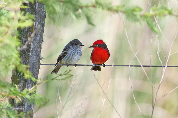 Ai sinh tháng Âm lịch này không quá thông minh, làm việc chăm chỉ, có cơ phát tài-1