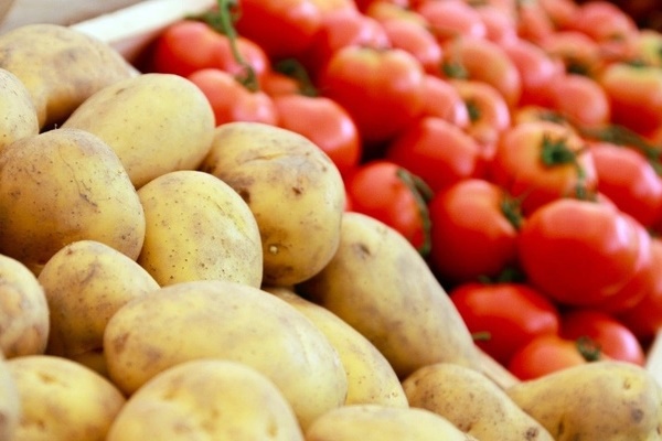 Tìm thấy hợp chất điều trị ung thư trong khoai tây và cà chua-1