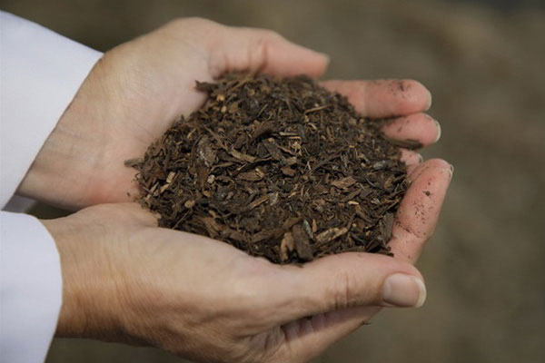 Nhiều bang ở Mỹ cho phép biến thi thể người thành phân bón-1