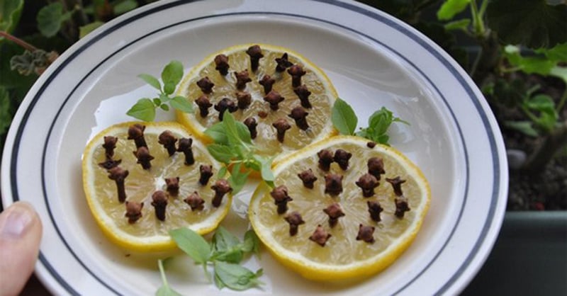 Cắt nhỏ cục xà phòng đặt ở góc nhà: Công dụng tuyệt vời, tiết kiệm cả đống tiền mỗi năm-3