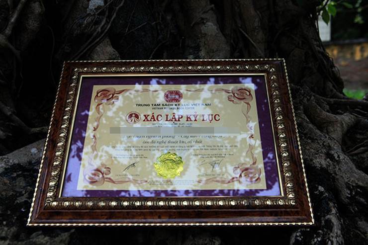 Chiêm ngưỡng cây sanh cổ, đại gia đổi 8 lô đất Hà Nội mà chủ nhân không bán-14